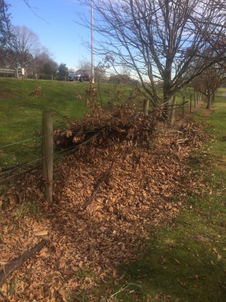 The photograph attached to this parks report