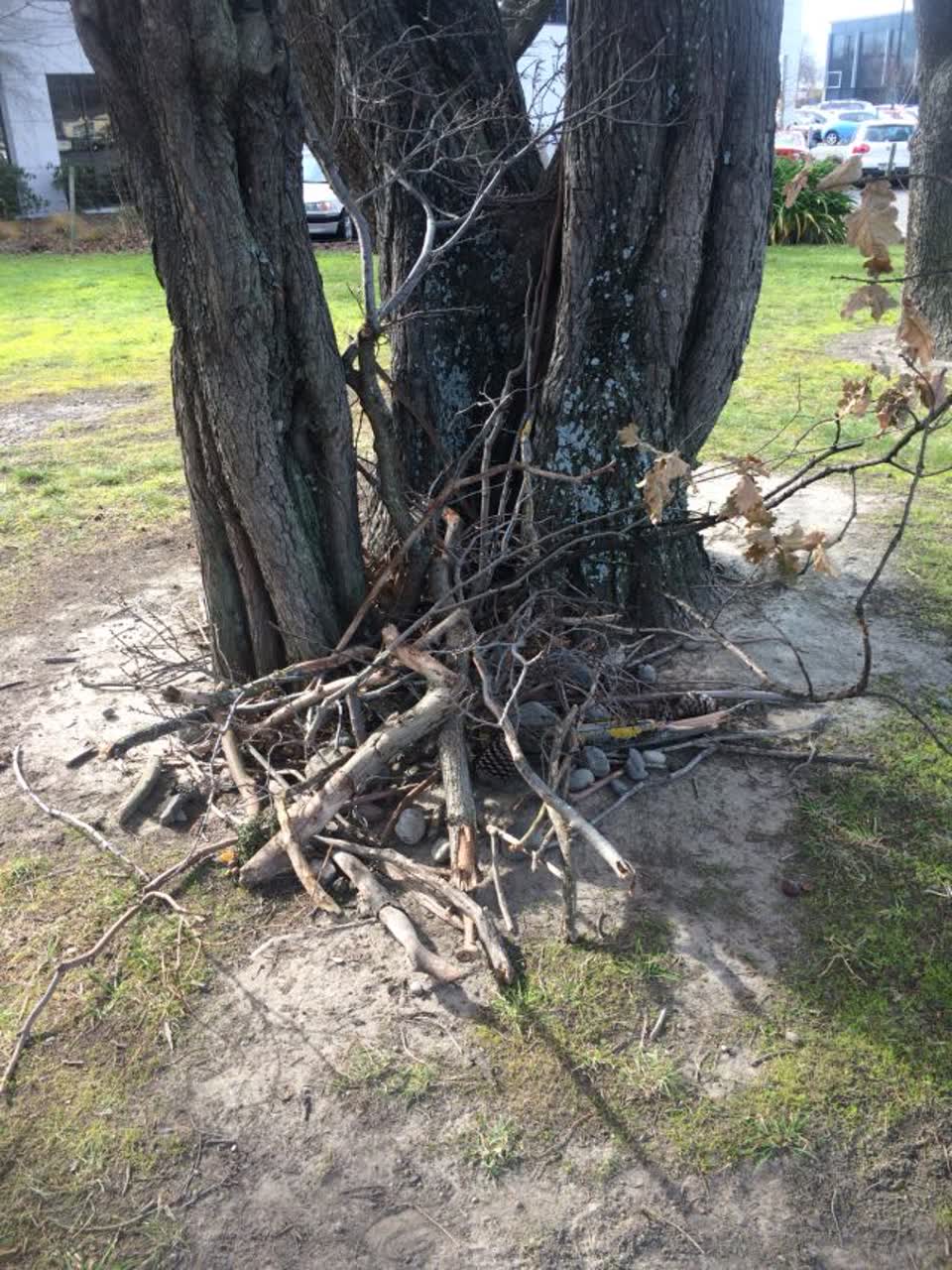 The photograph attached to this parks report