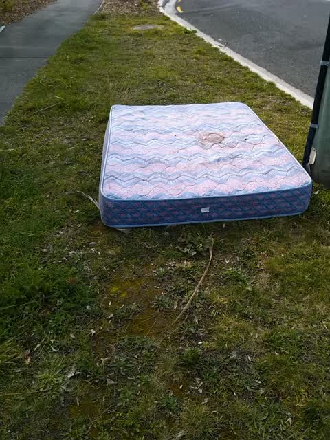 Rubbish/Recycling, a report photo