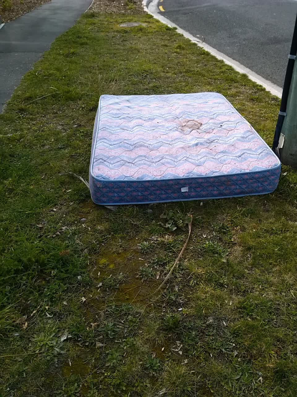 The photograph attached to this rubbish/recycling report