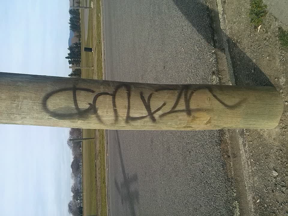 The photograph attached to this graffiti report