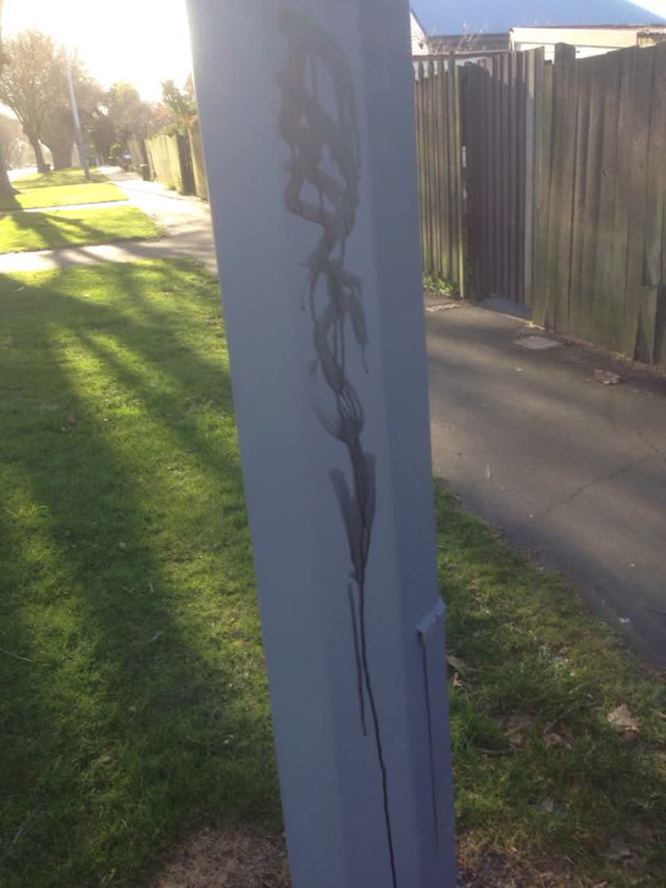 The photograph attached to this graffiti report