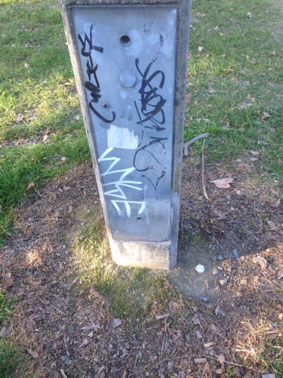 The photograph attached to this graffiti report