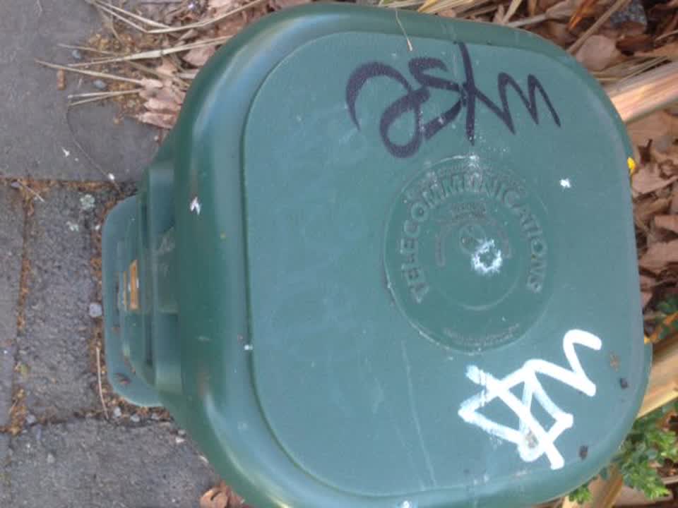 The photograph attached to this graffiti report