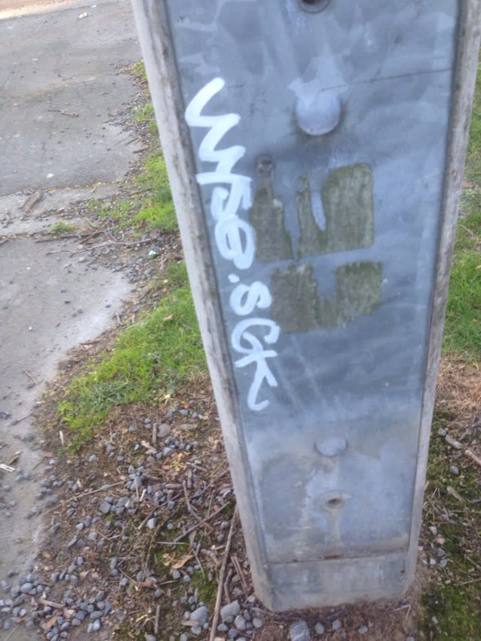The photograph attached to this graffiti report