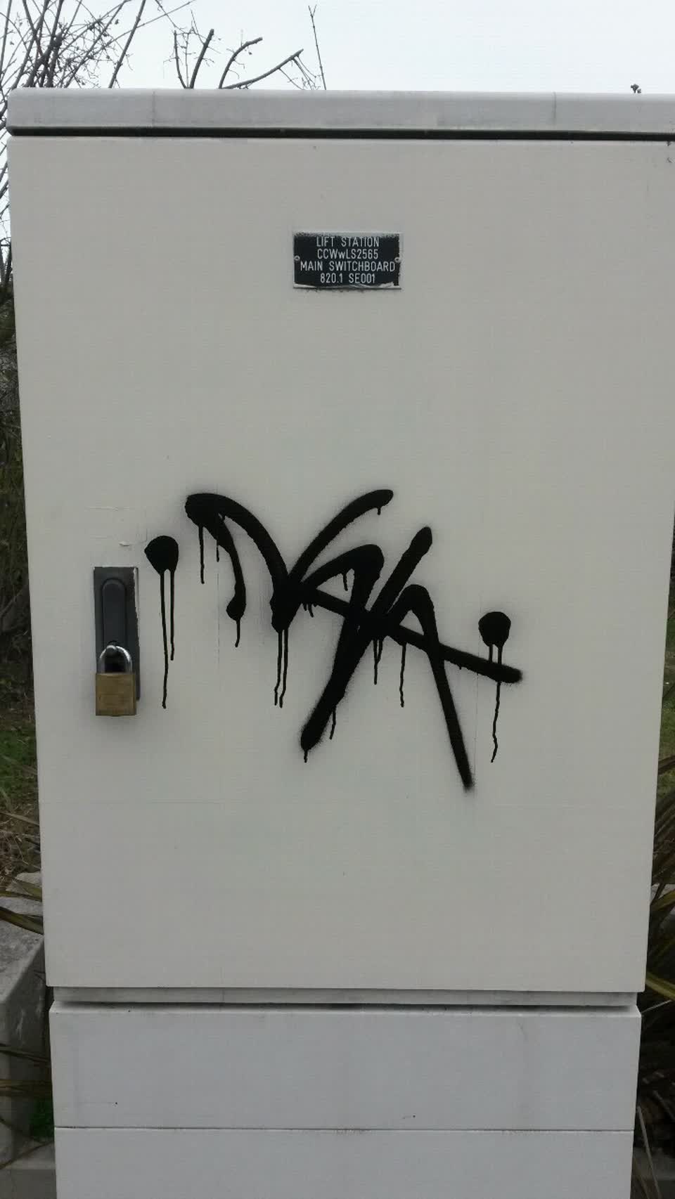 The photograph attached to this graffiti report