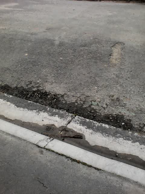 Roading/Streets, a report photo