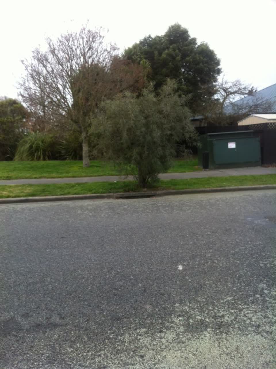 The photograph attached to this parks report
