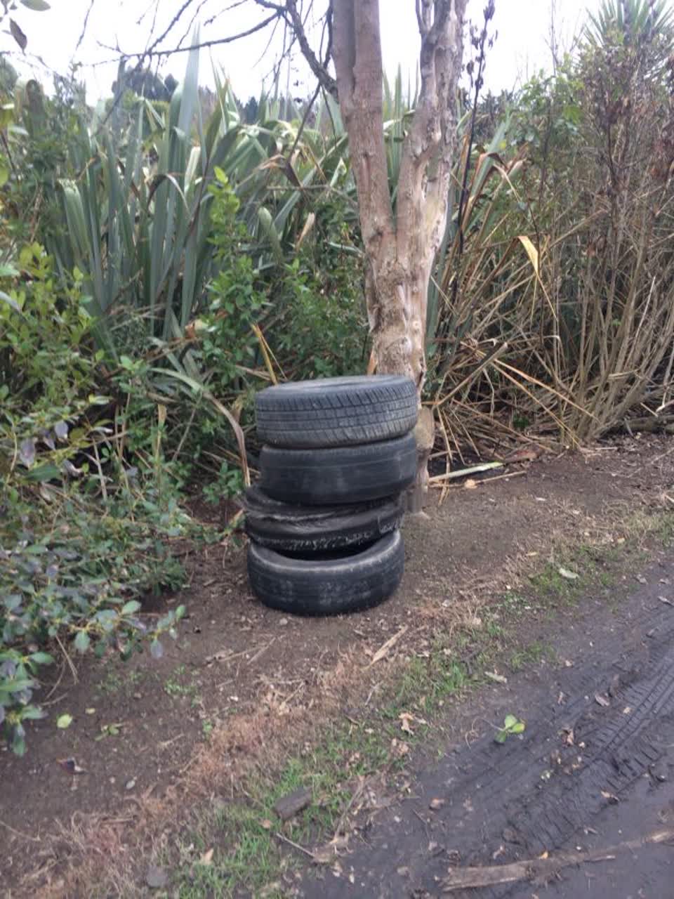 The photograph attached to this parks report