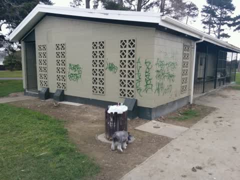 Graffiti, a report photo