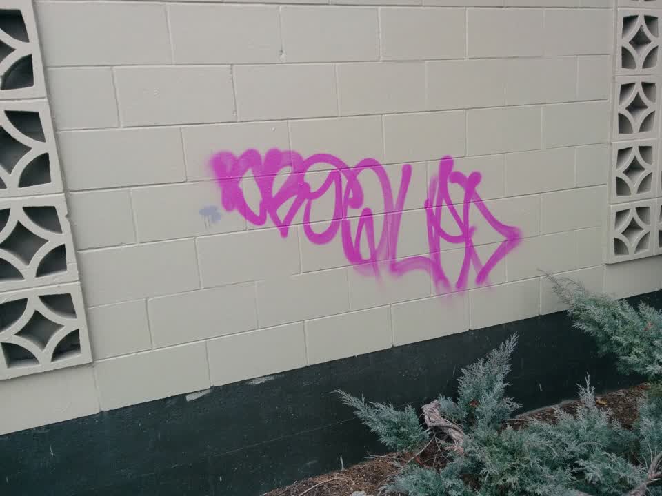 The photograph attached to this graffiti report