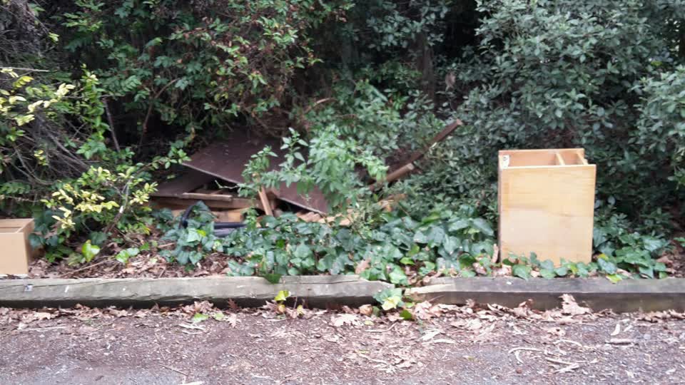 The photograph attached to this parks report