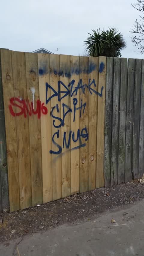 Graffiti, a report photo