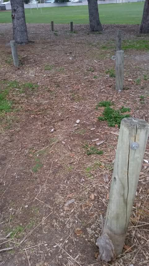 Parks, a report photo