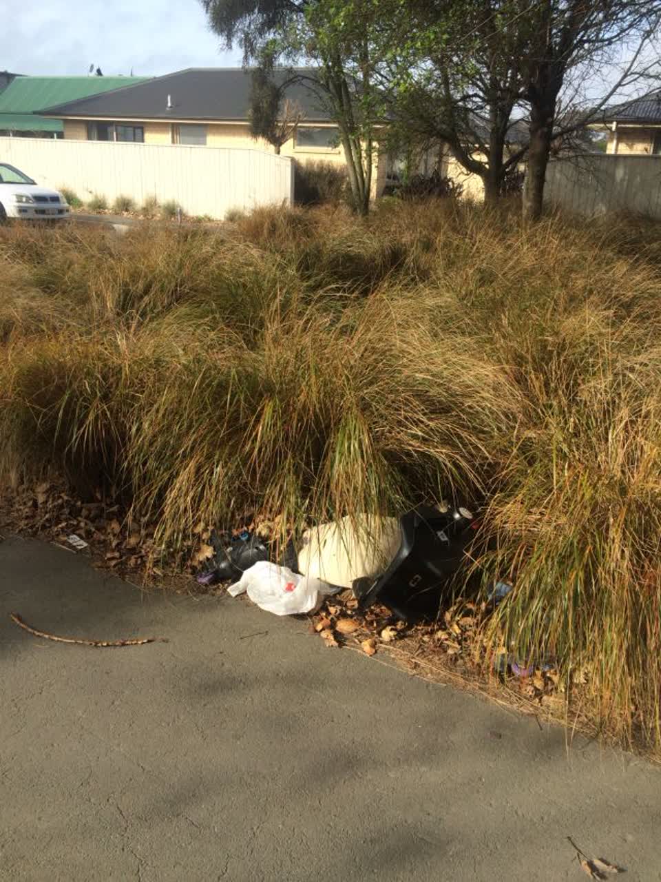 The photograph attached to this parks report