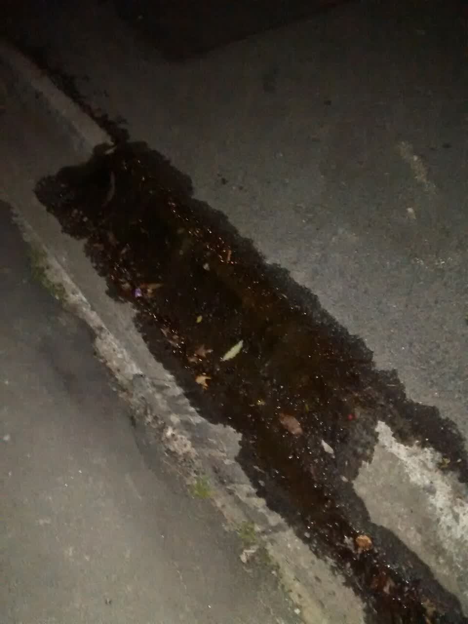 The photograph attached to this water supply report