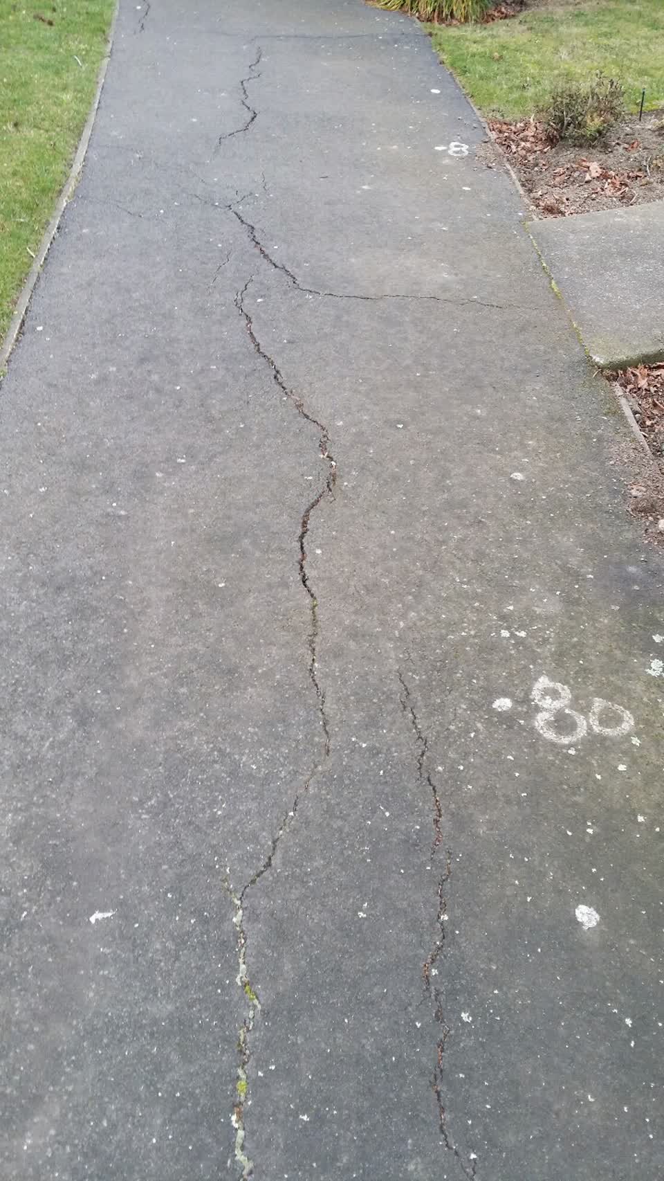 The photograph attached to this roading/streets report