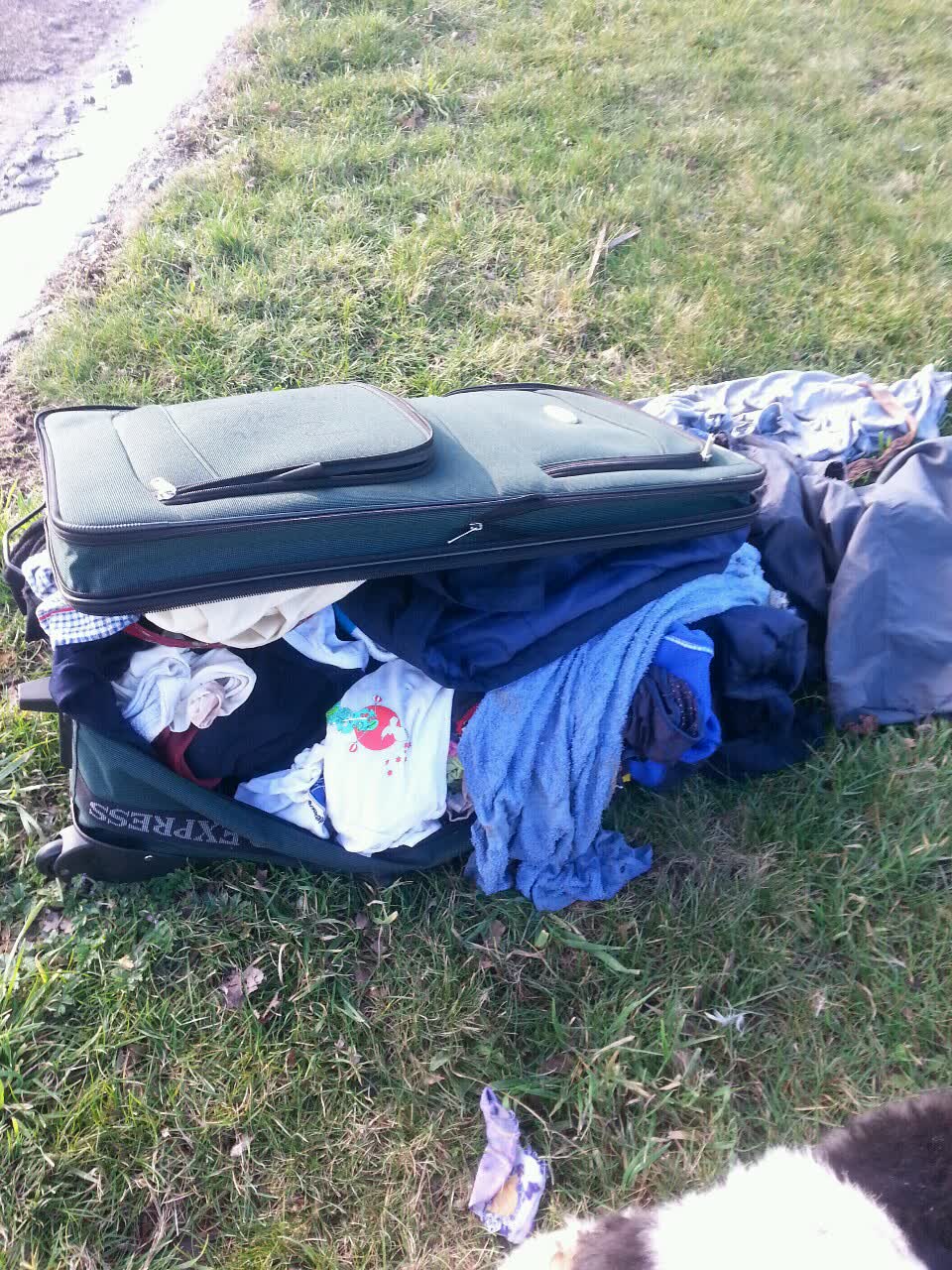The photograph attached to this rubbish/recycling report