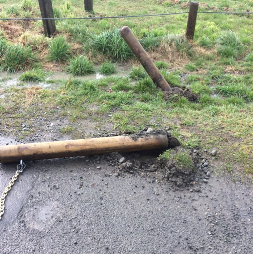 The photograph attached to this parks report