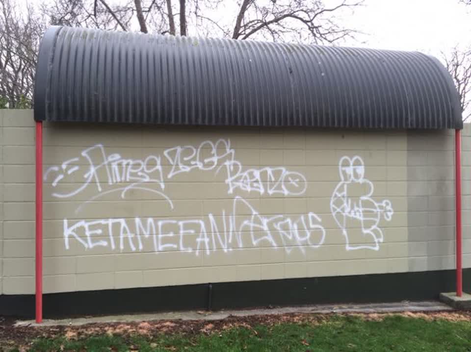 The photograph attached to this graffiti report