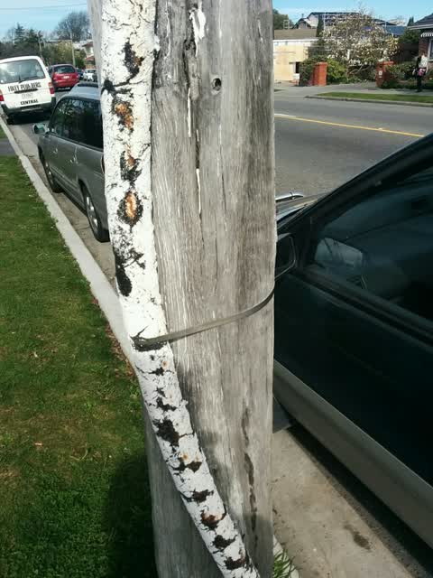 Roading/Streets, a report photo
