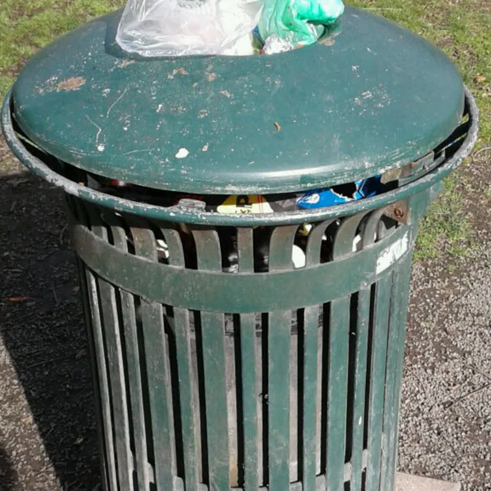 The photograph attached to this rubbish/recycling report