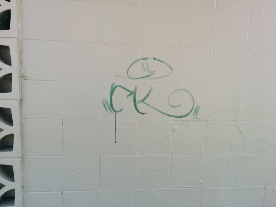 The photograph attached to this graffiti report