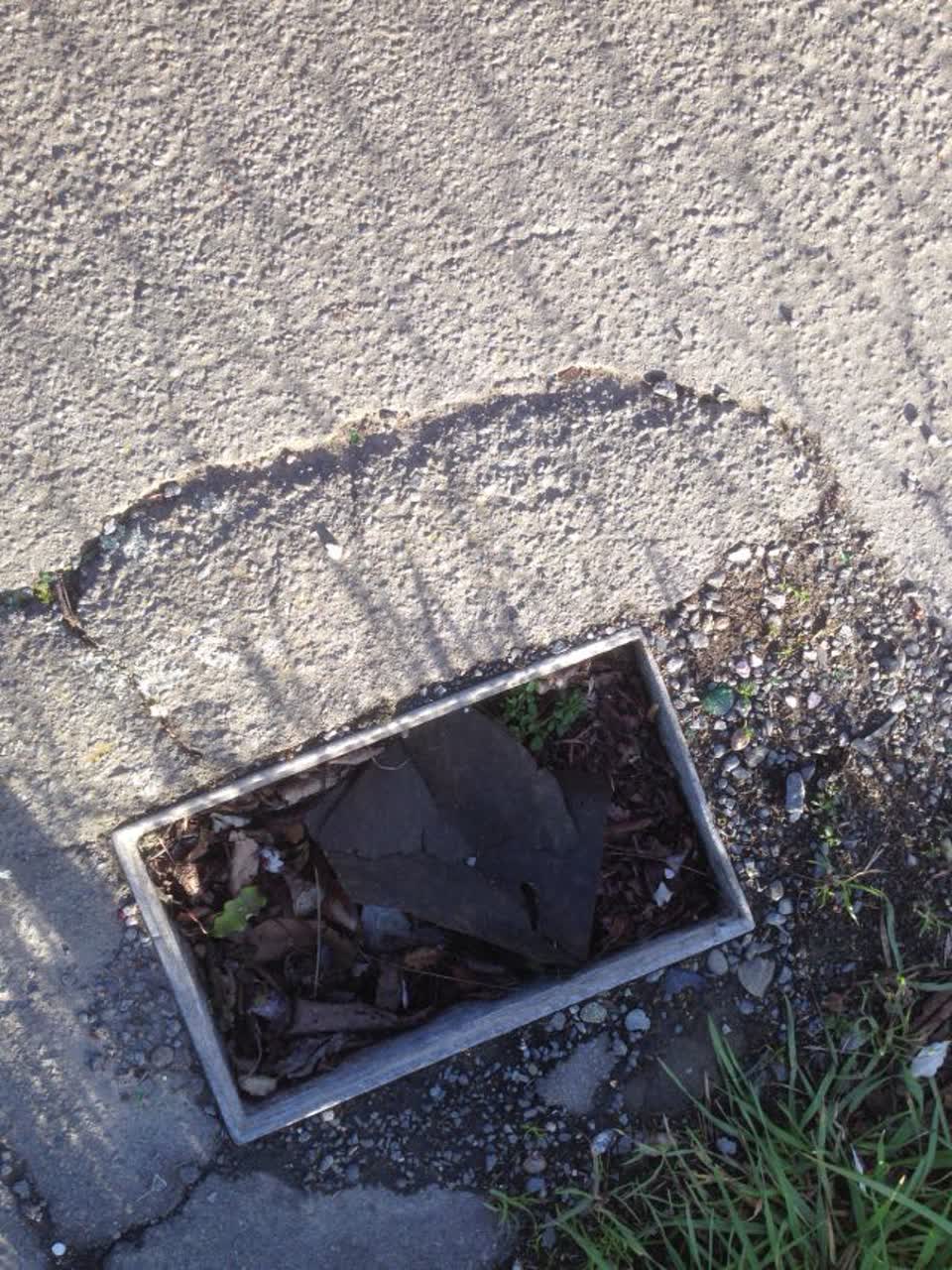 The photograph attached to this roading/streets report