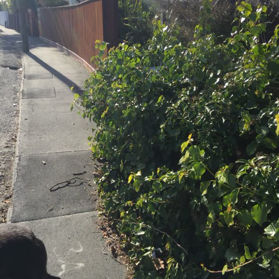The photograph attached to this roading/streets report