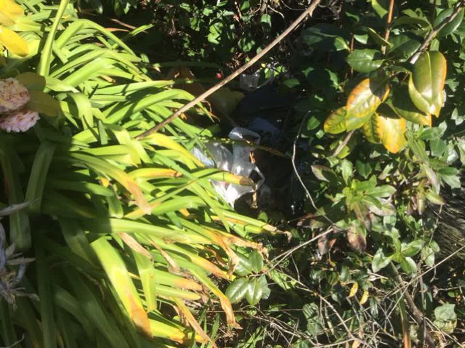The photograph attached to this rubbish/recycling report