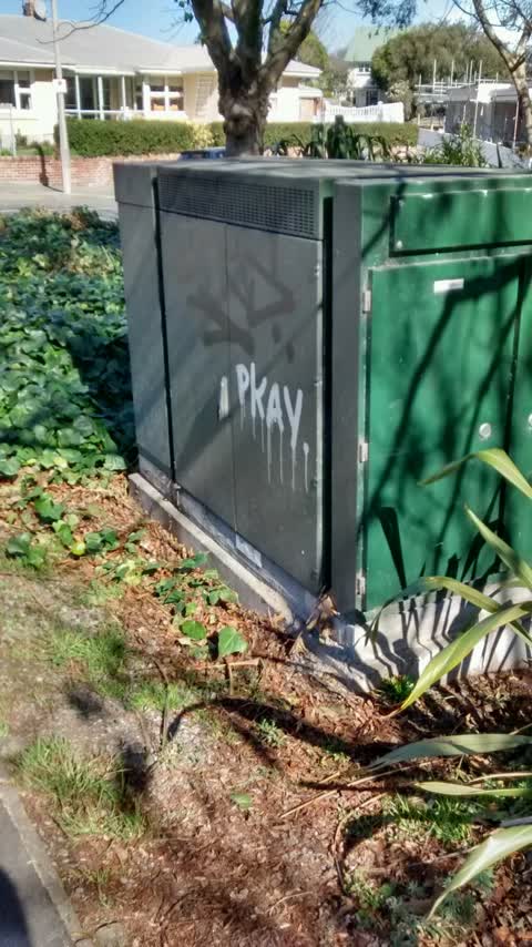 Graffiti, a report photo