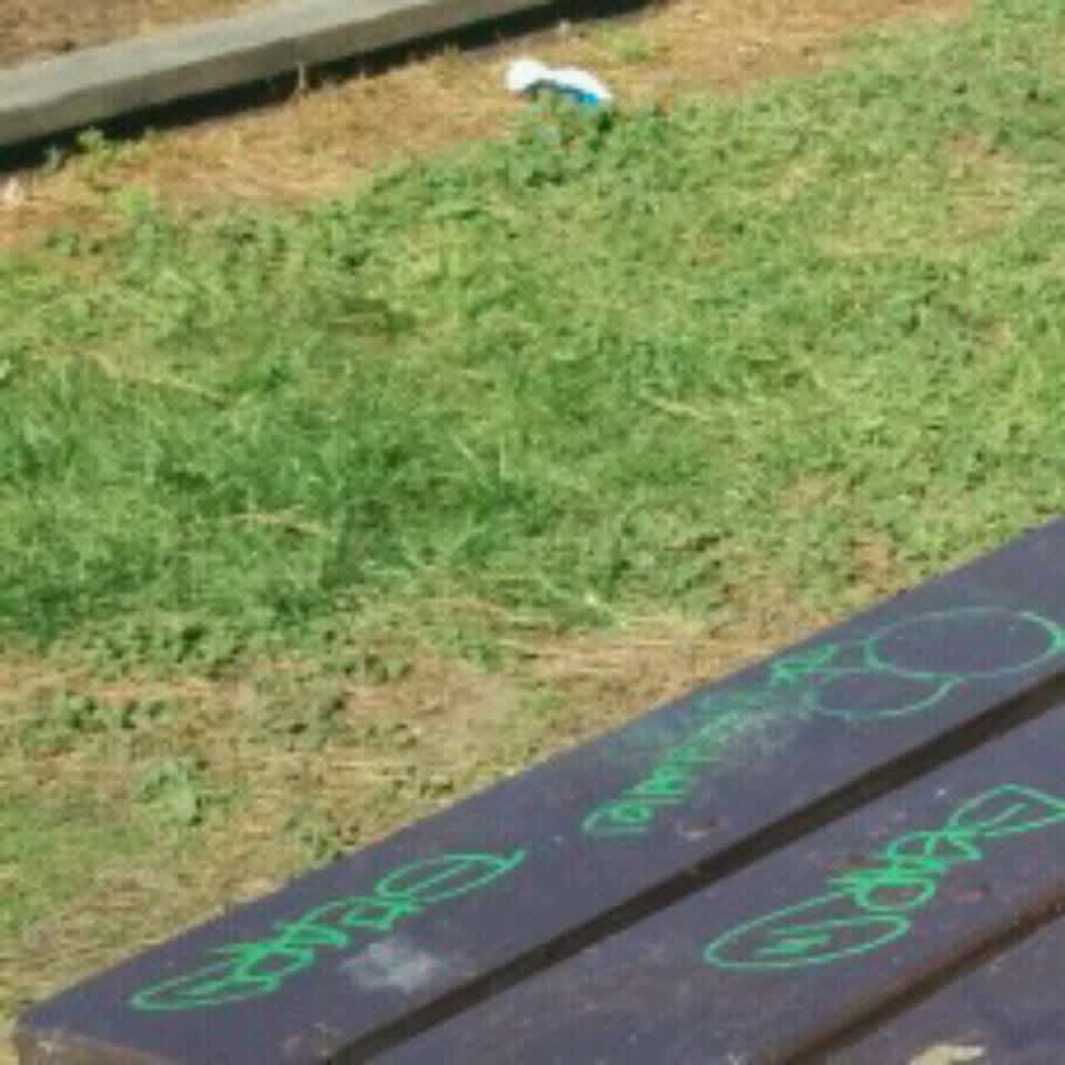 The photograph attached to this graffiti report