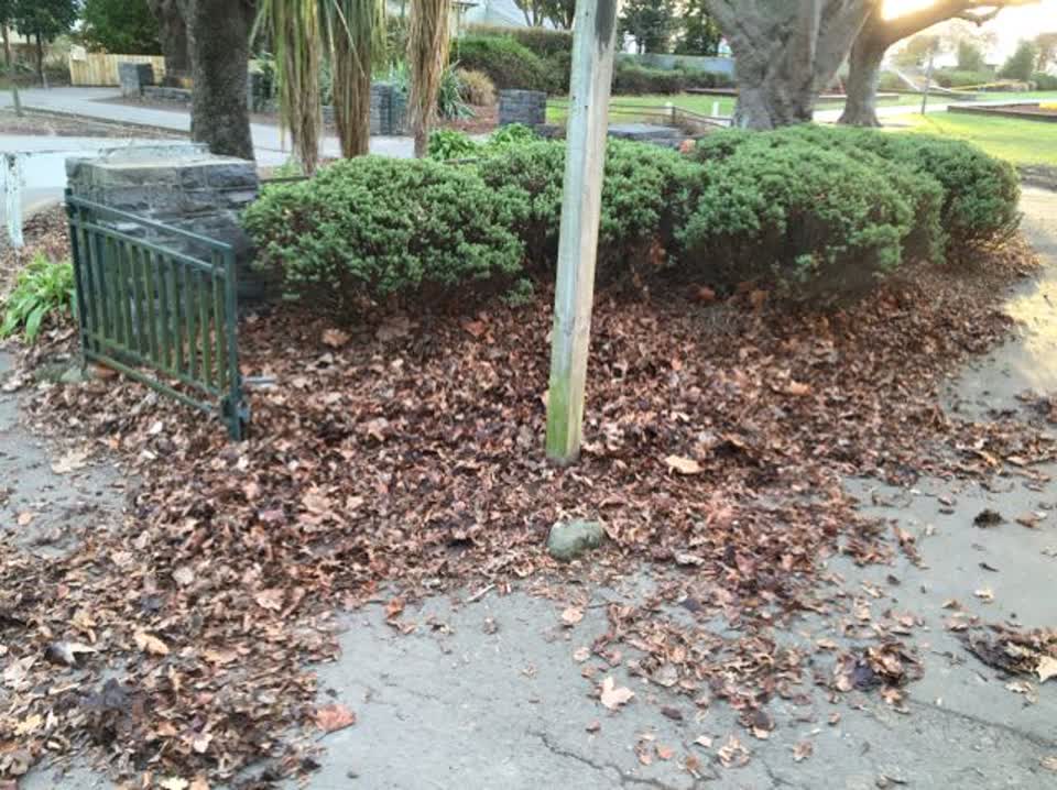 The photograph attached to this parks report