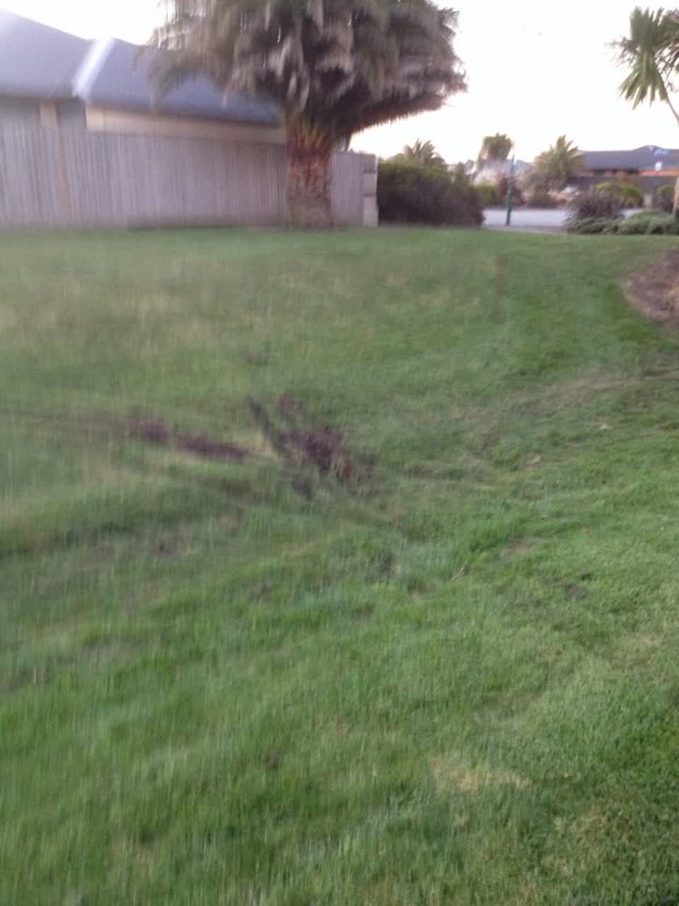 The photograph attached to this parks report