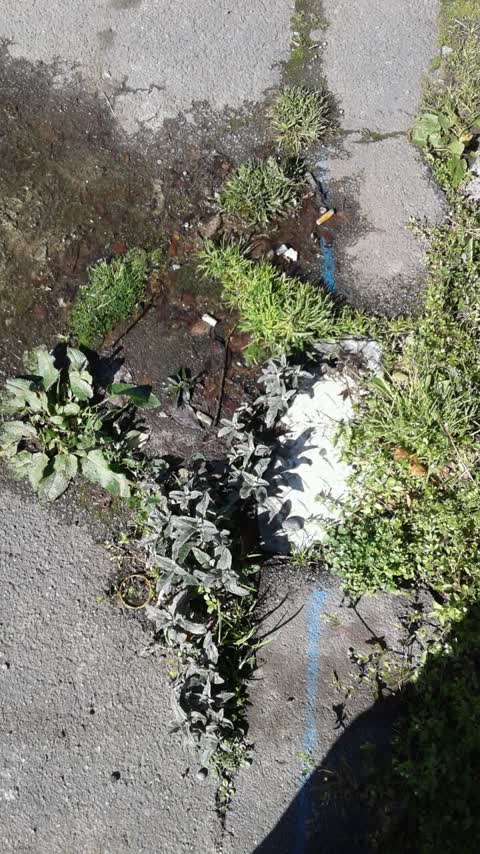 Water Supply, a report photo
