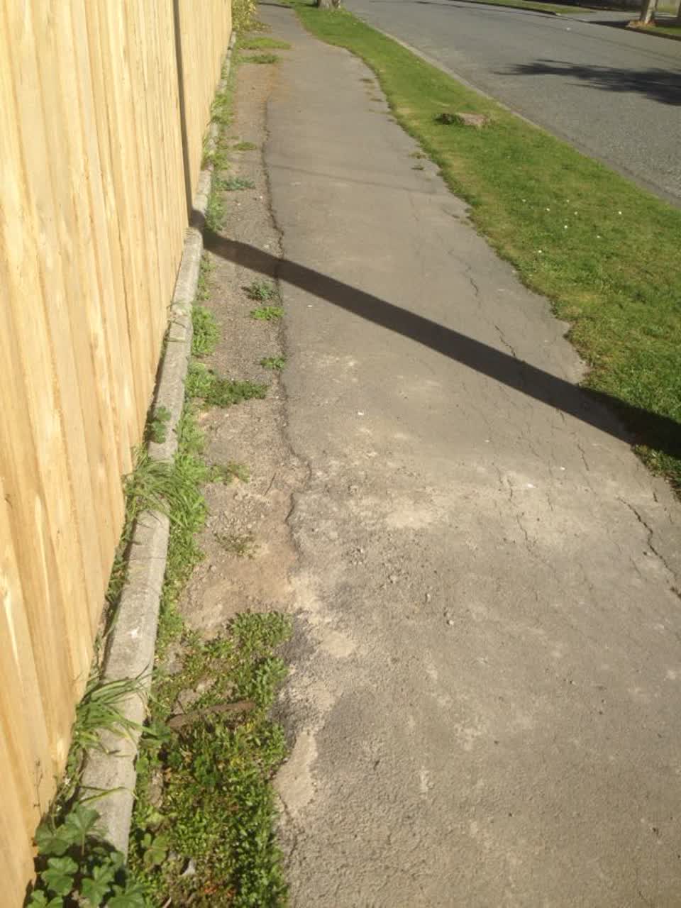 The photograph attached to this roading/streets report