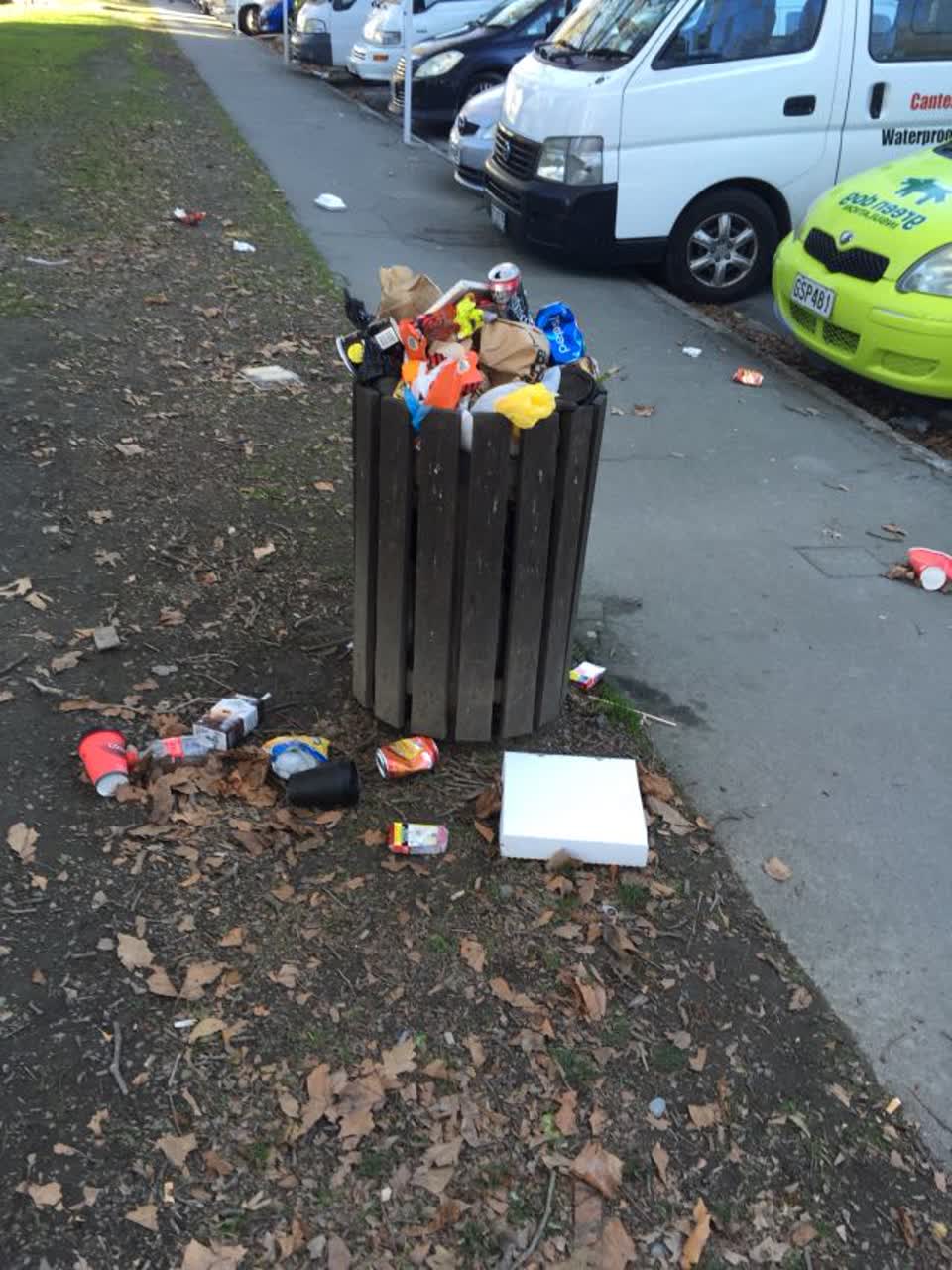 The photograph attached to this rubbish/recycling report