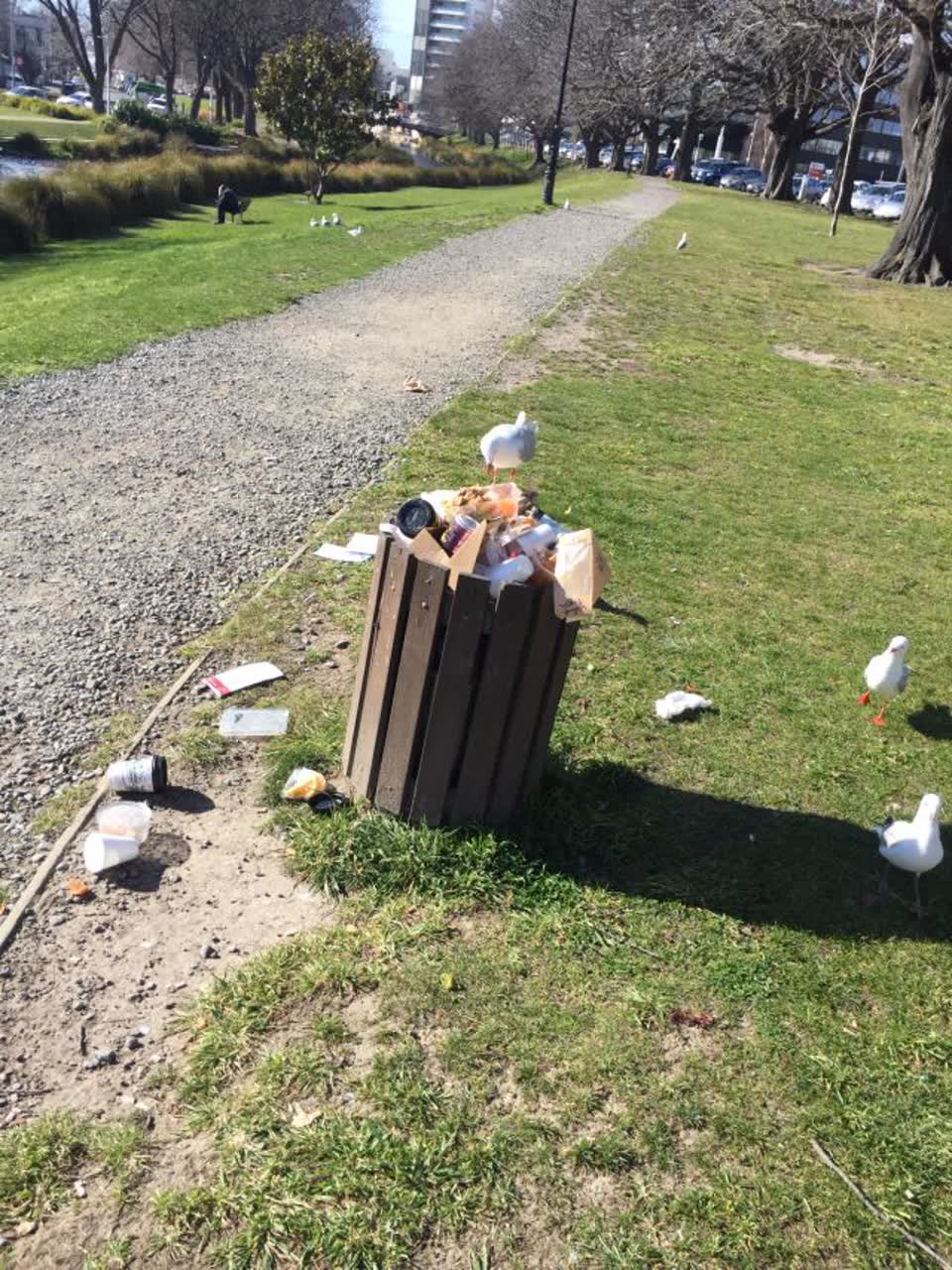 The photograph attached to this rubbish/recycling report