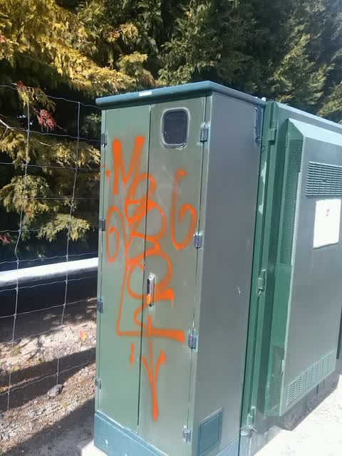 Graffiti, a report photo