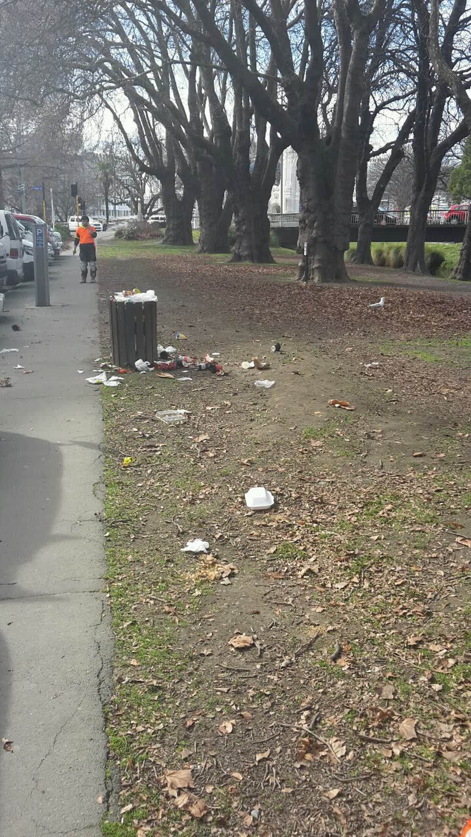 The photograph attached to this rubbish/recycling report