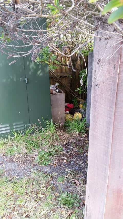 Rubbish/Recycling, a report photo