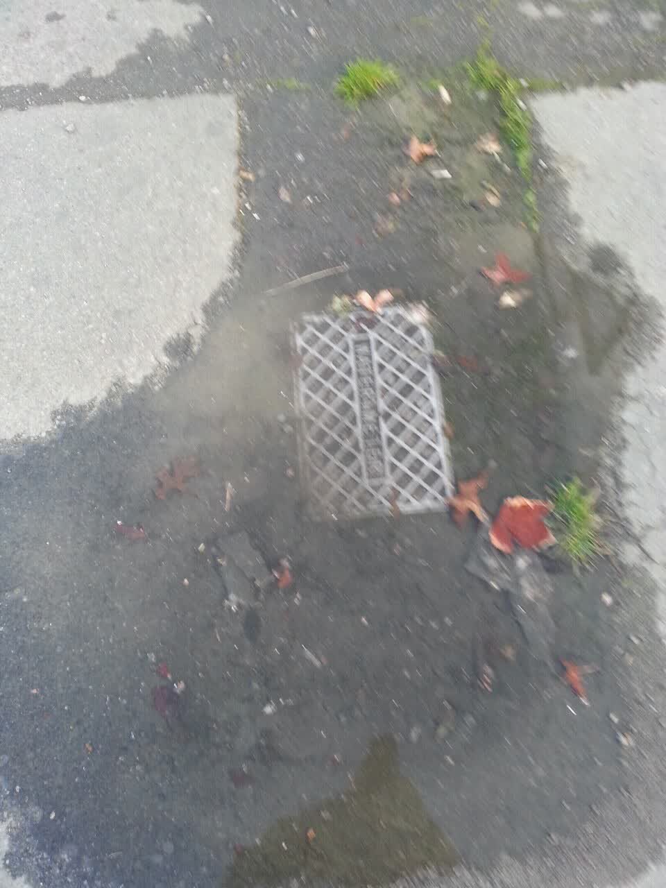 The photograph attached to this water supply report