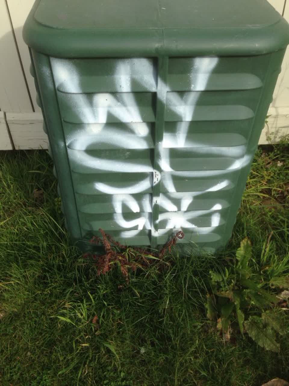 The photograph attached to this graffiti report