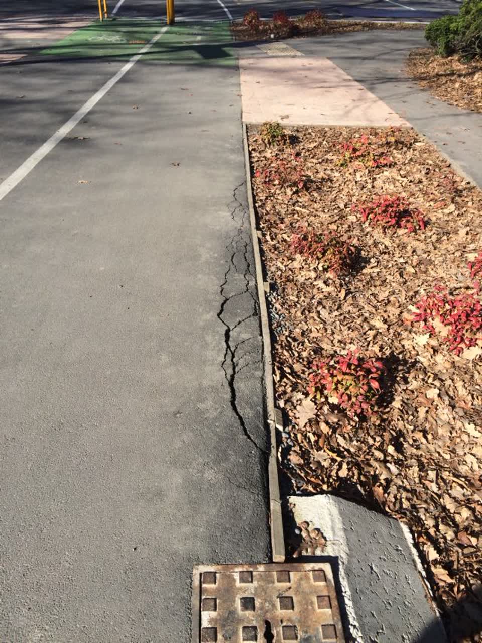 The photograph attached to this roading/streets report