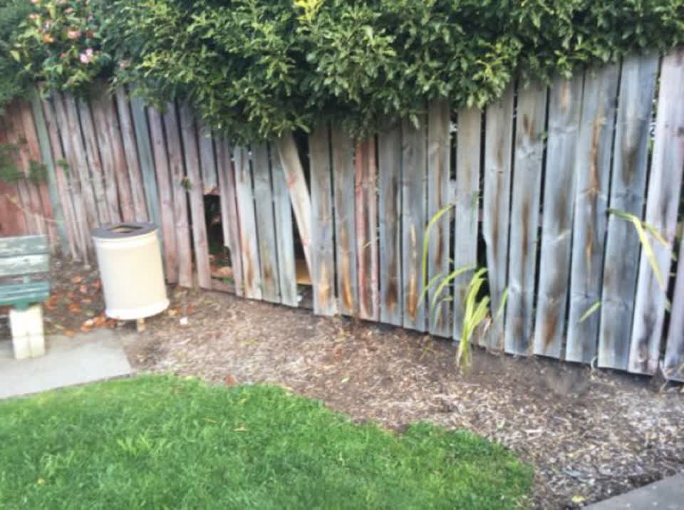 The photograph attached to this parks report