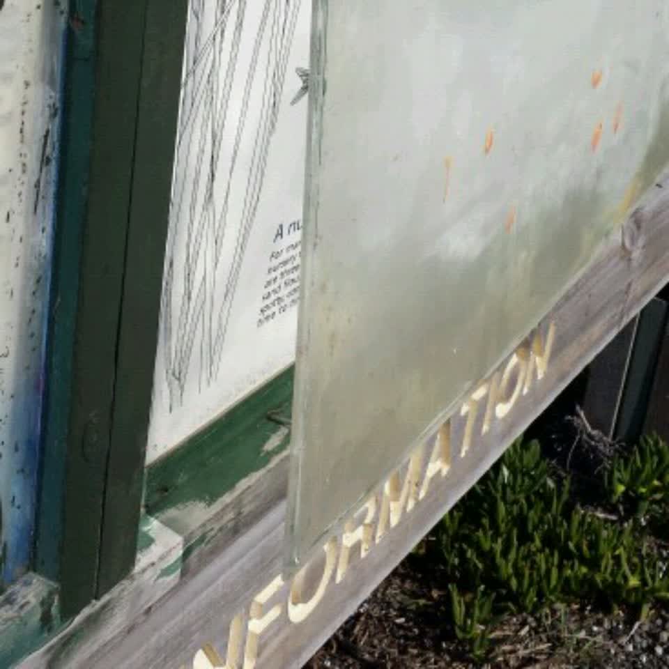 The photograph attached to this parks report
