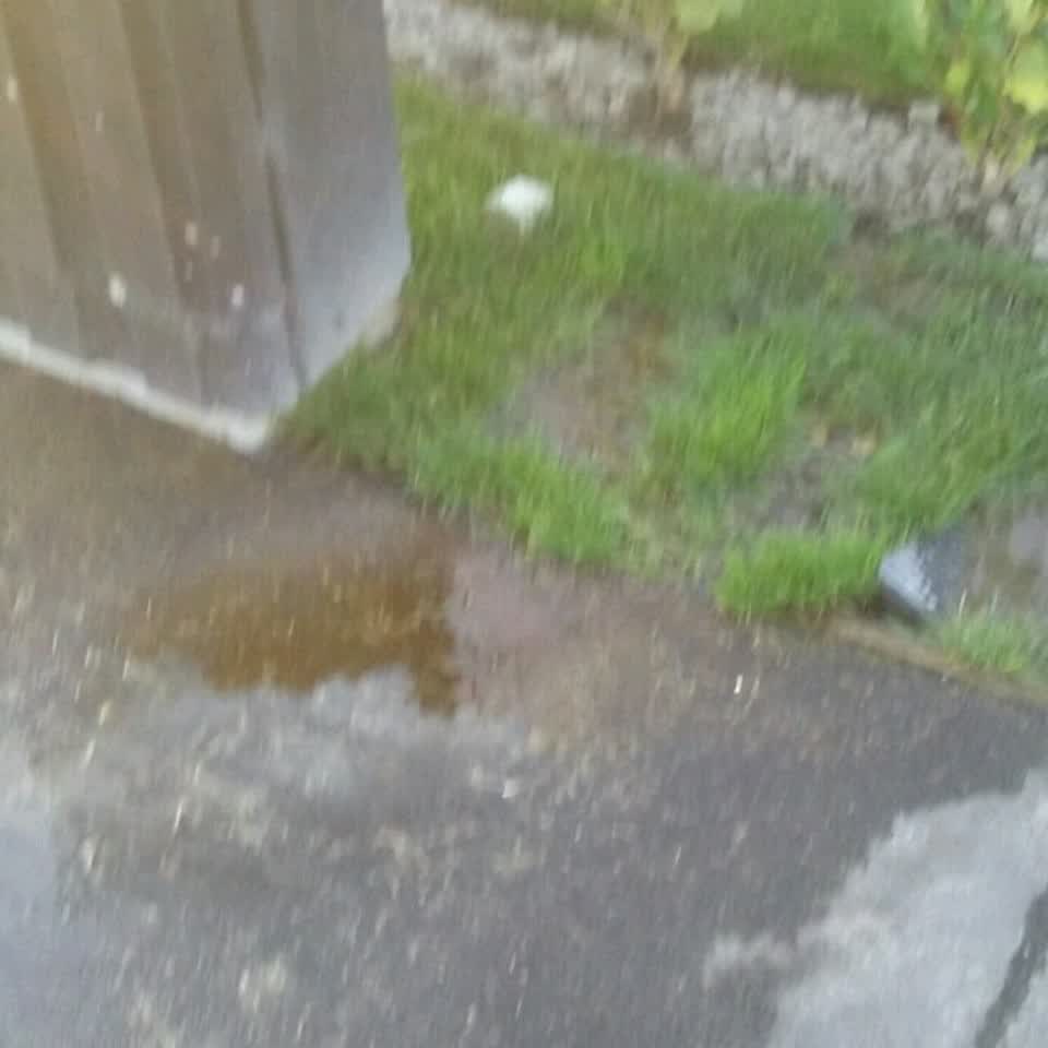 The photograph attached to this water supply report
