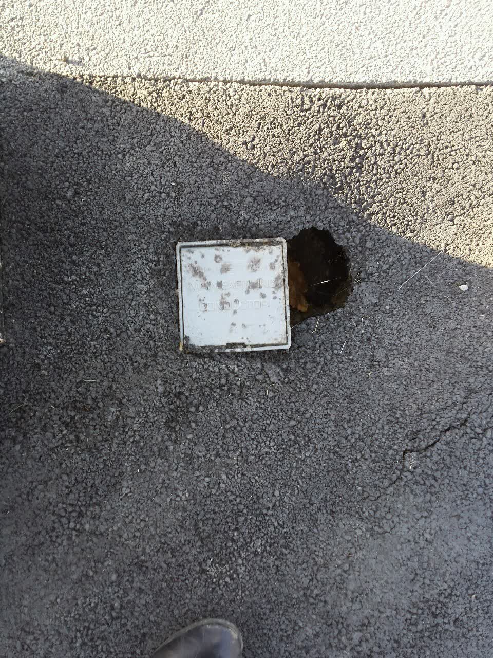 The photograph attached to this parks report