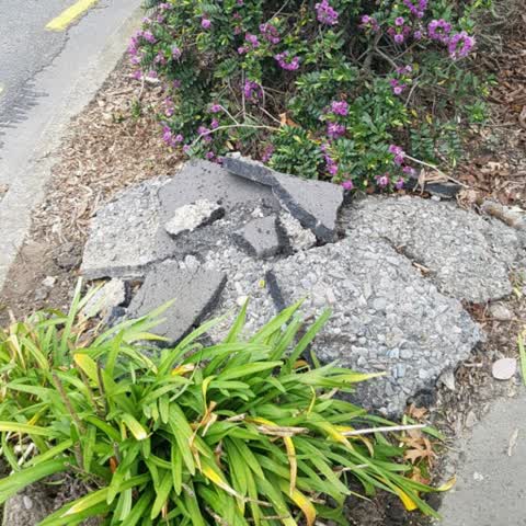 Rubbish/Recycling, a report photo