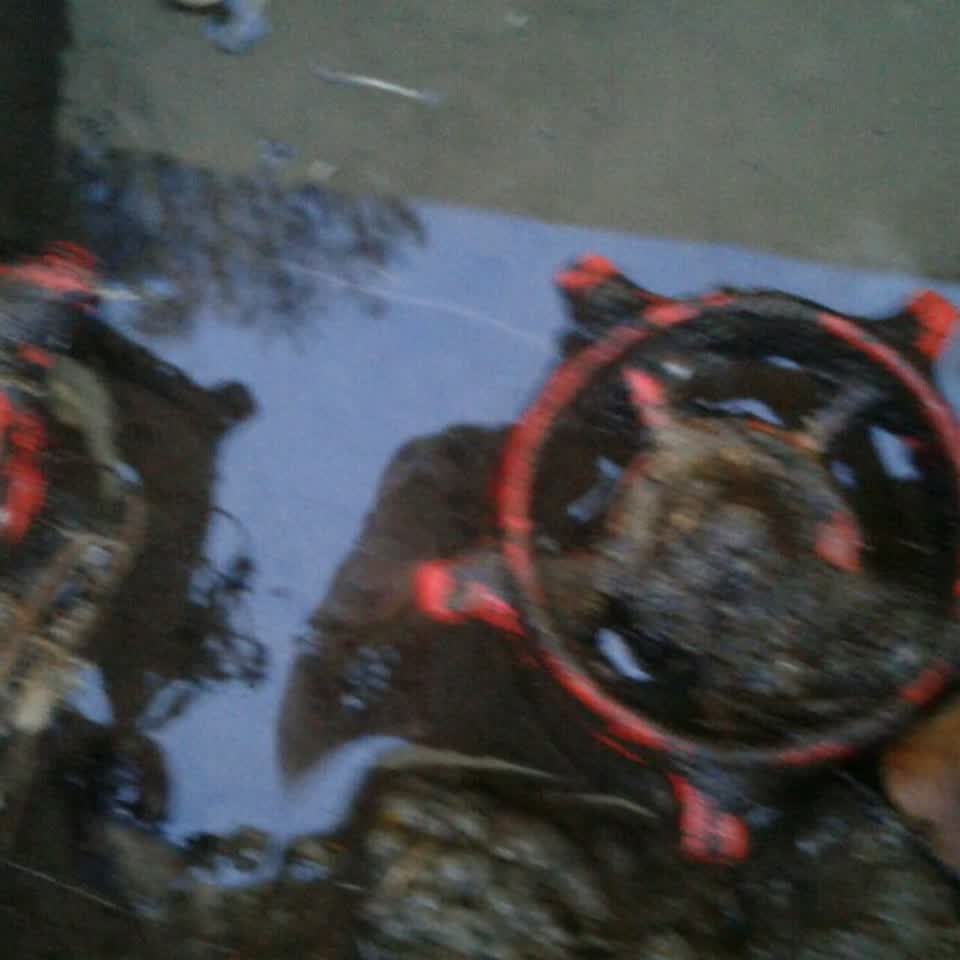 The photograph attached to this water supply report
